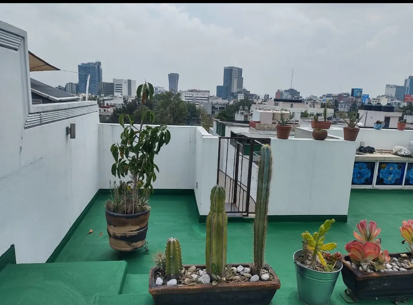 Terraza impermeabilizada en color verde con macetas y vista a la ciudad